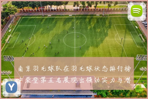 南京羽毛球队在羽毛球状态排行榜中荣登第五名展现出强劲实力与潜力