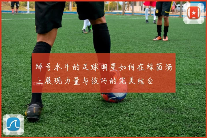 绰号水牛的足球明星如何在绿茵场上展现力量与技巧的完美结合