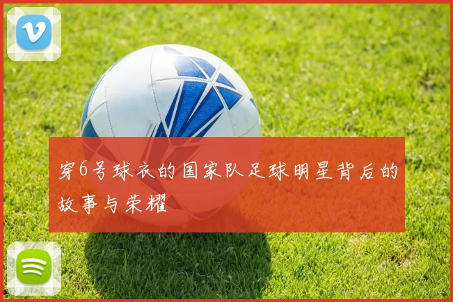 穿6号球衣的国家队足球明星背后的故事与荣耀