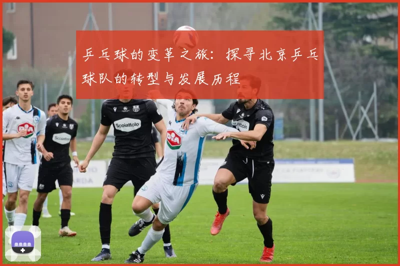 乒乓球的变革之旅：探寻北京乒乓球队的转型与发展历程