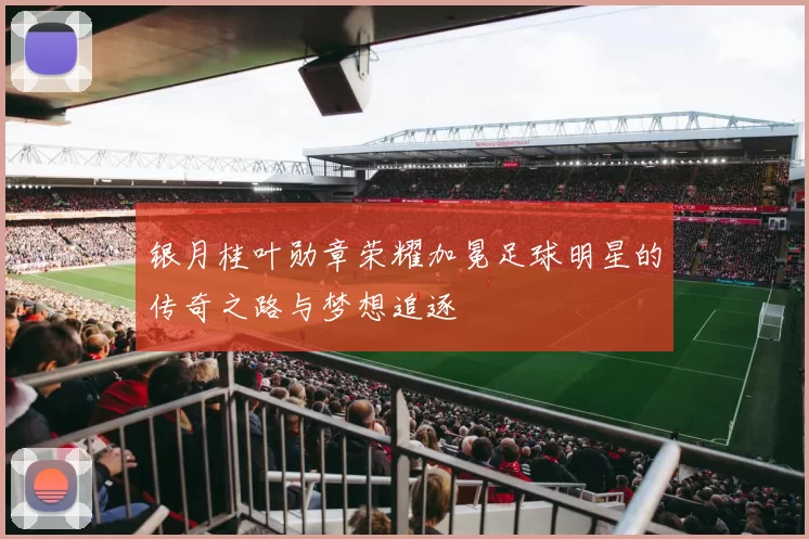 银月桂叶勋章荣耀加冕足球明星的传奇之路与梦想追逐