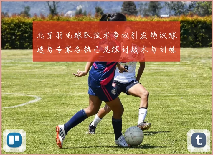 北京羽毛球队技术争议引发热议球迷与专家各执己见探讨战术与训练问题