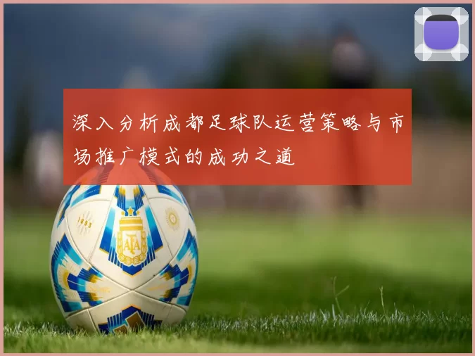 深入分析成都足球队运营策略与市场推广模式的成功之道