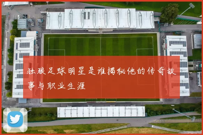 独狼足球明星是谁揭秘他的传奇故事与职业生涯