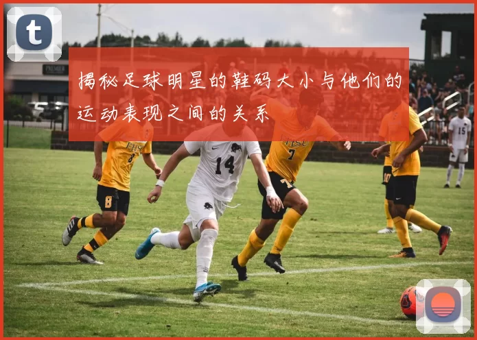 揭秘足球明星的鞋码大小与他们的运动表现之间的关系