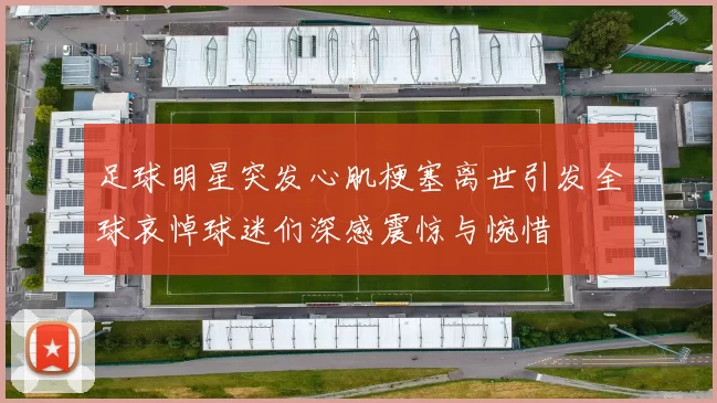 足球明星突发心肌梗塞离世引发全球哀悼球迷们深感震惊与惋惜