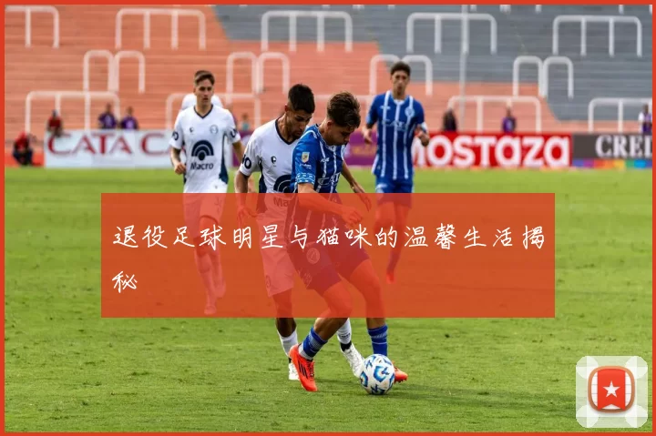 退役足球明星与猫咪的温馨生活揭秘