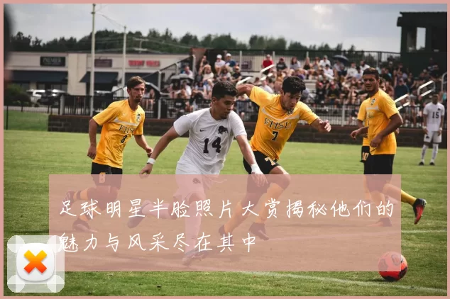 足球明星半脸照片大赏揭秘他们的魅力与风采尽在其中