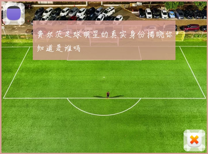 费尔茨足球明星的真实身份揭晓你知道是谁吗