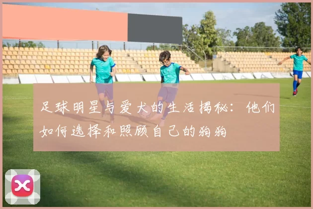 足球明星与爱犬的生活揭秘：他们如何选择和照顾自己的狗狗