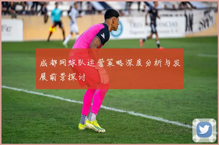 成都网球队运营策略深度分析与发展前景探讨