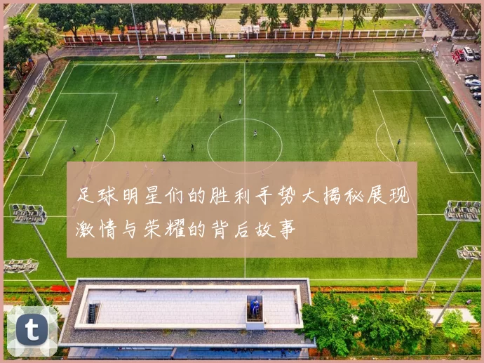 足球明星们的胜利手势大揭秘展现激情与荣耀的背后故事