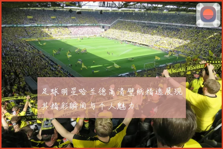 足球明星哈兰德高清壁纸精选展现其精彩瞬间与个人魅力