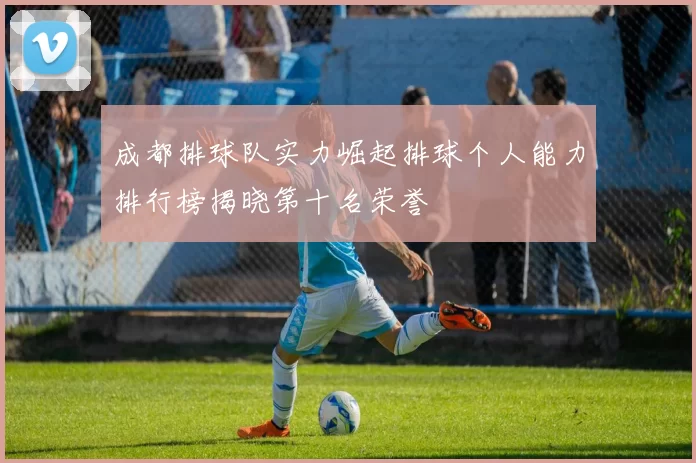 成都排球队实力崛起排球个人能力排行榜揭晓第十名荣誉