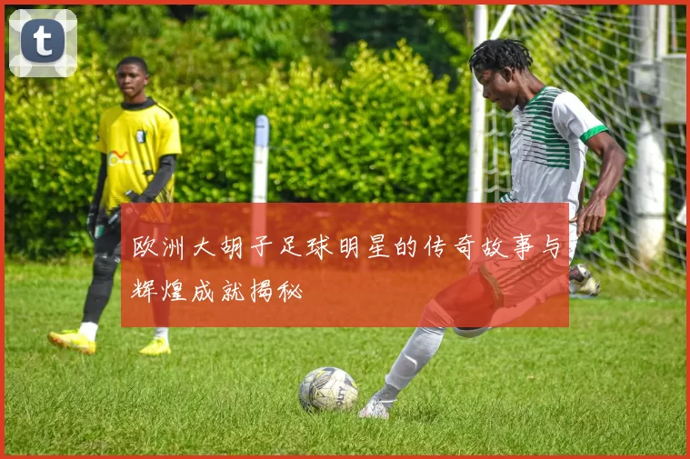 欧洲大胡子足球明星的传奇故事与辉煌成就揭秘
