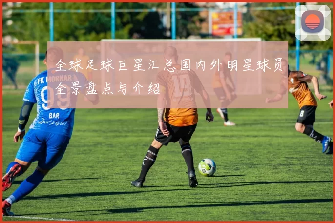 全球足球巨星汇总国内外明星球员全景盘点与介绍