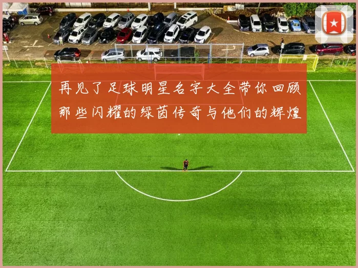 再见了足球明星名字大全带你回顾那些闪耀的绿茵传奇与他们的辉煌时刻