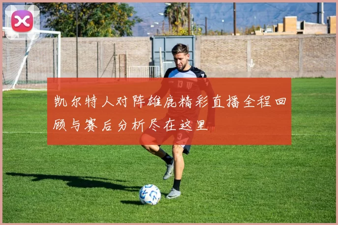 凯尔特人对阵雄鹿精彩直播全程回顾与赛后分析尽在这里